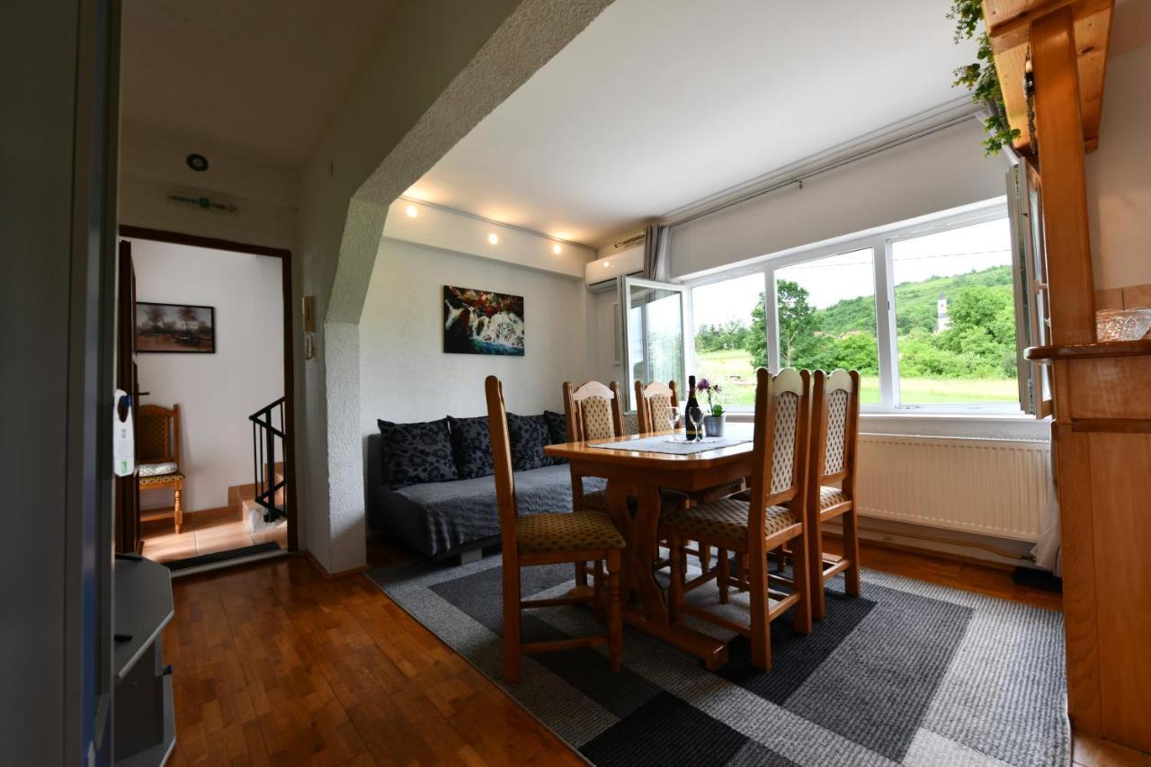 Apartment Marija Zupan ラコヴィツァ エクステリア 写真