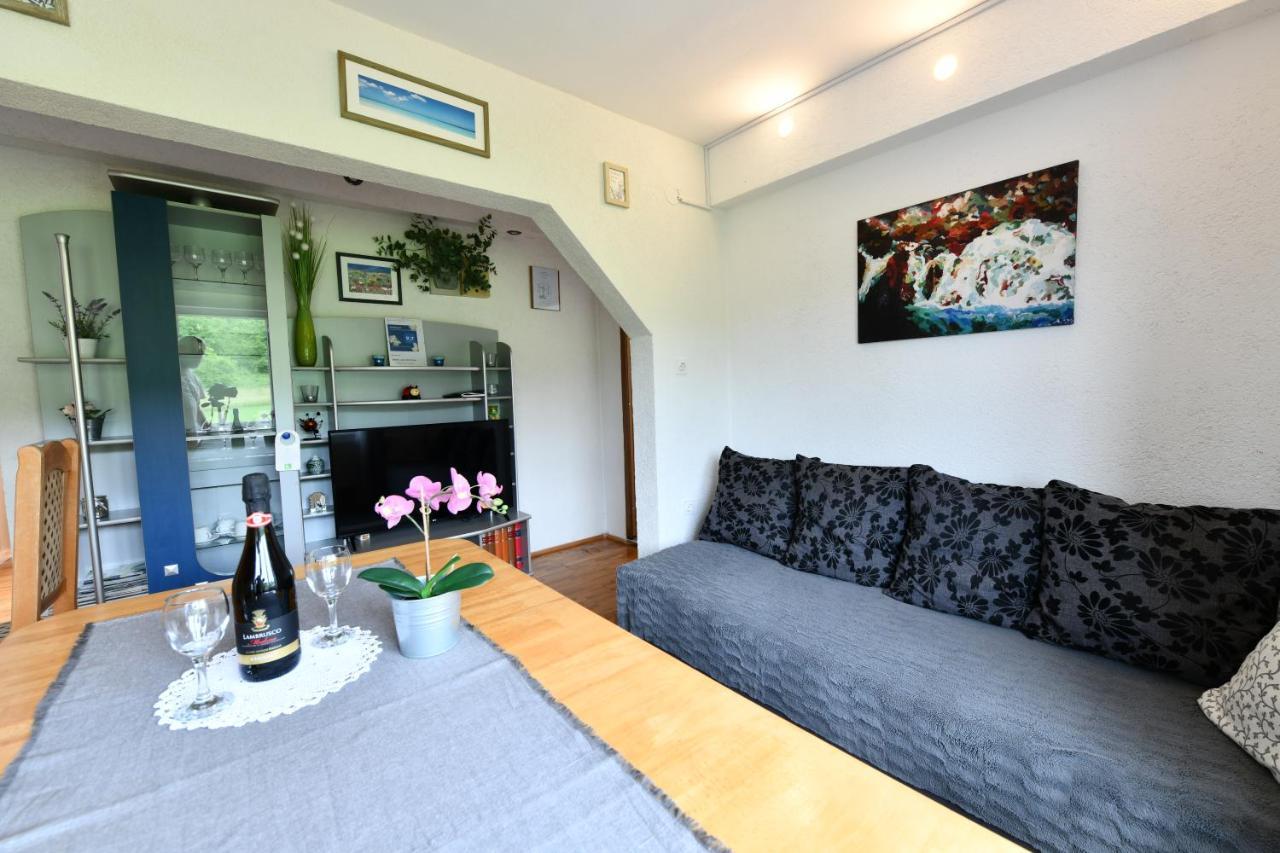 Apartment Marija Zupan ラコヴィツァ エクステリア 写真