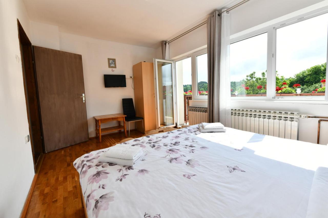 Apartment Marija Zupan ラコヴィツァ エクステリア 写真
