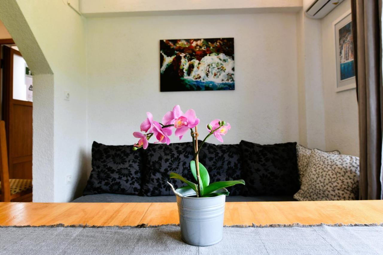 Apartment Marija Zupan ラコヴィツァ エクステリア 写真