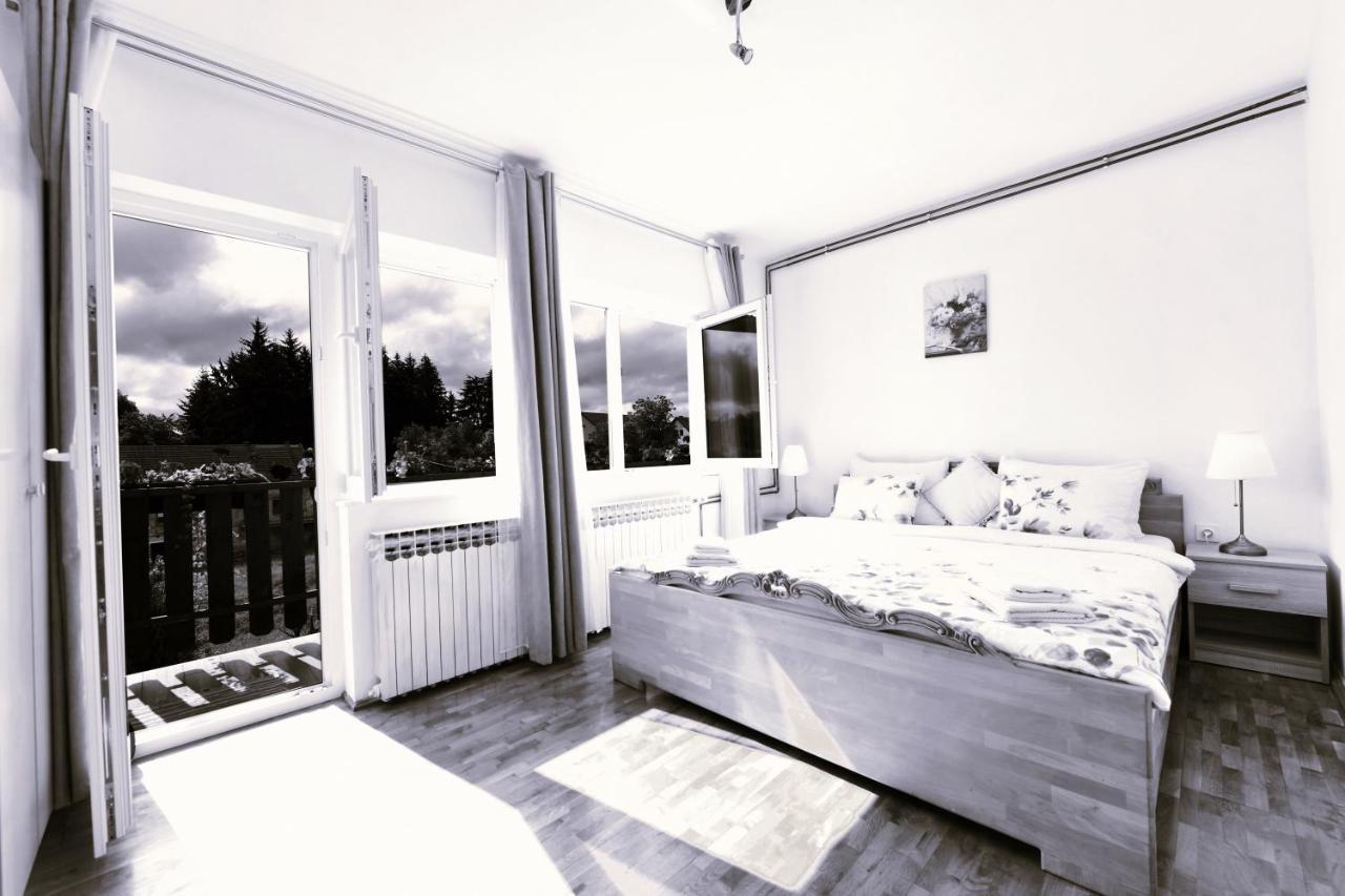 Apartment Marija Zupan ラコヴィツァ エクステリア 写真