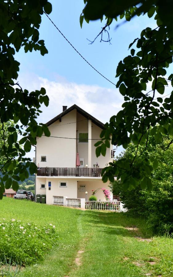 Apartment Marija Zupan ラコヴィツァ エクステリア 写真