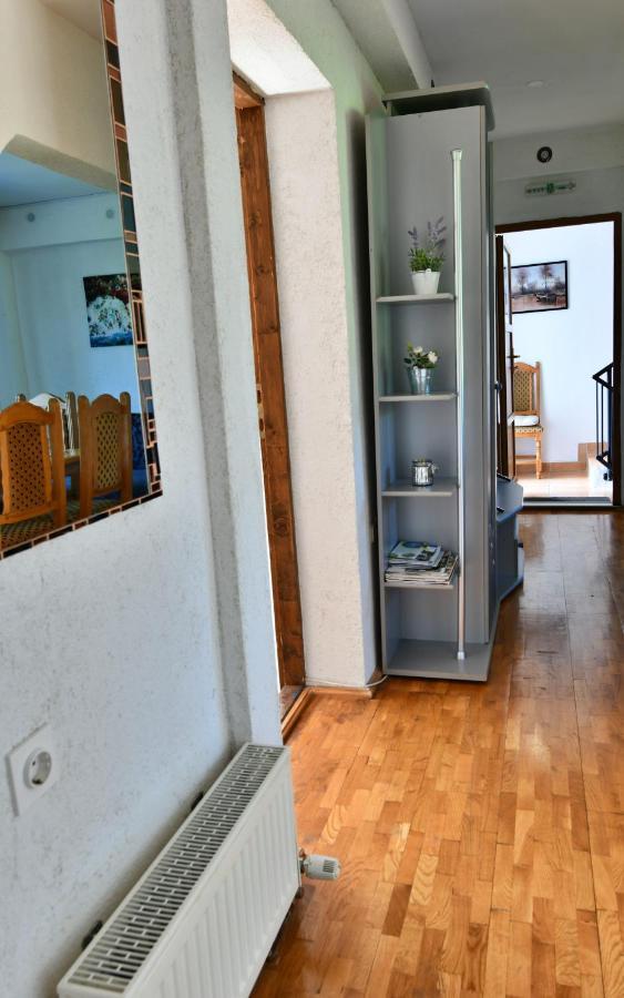 Apartment Marija Zupan ラコヴィツァ エクステリア 写真